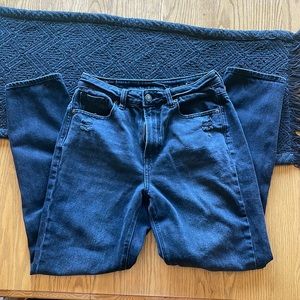 American Eagle Mom Jean